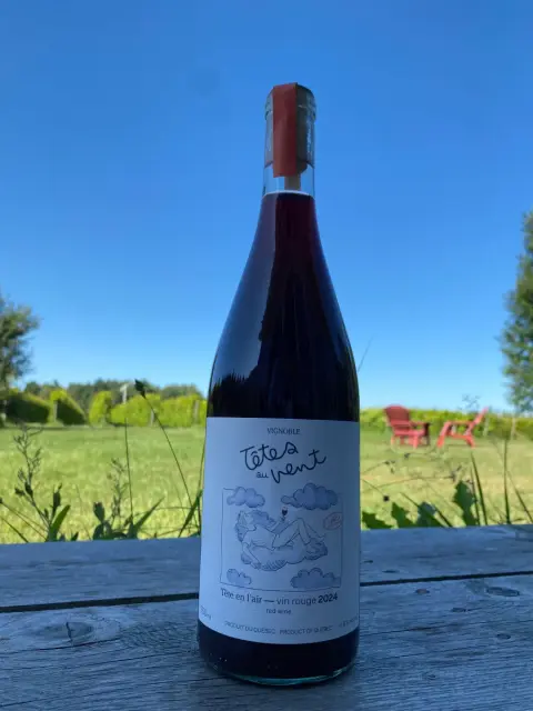 Têtes en l'air
