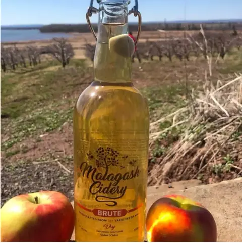 Vista Bella Farm Brute Dry cider bottle