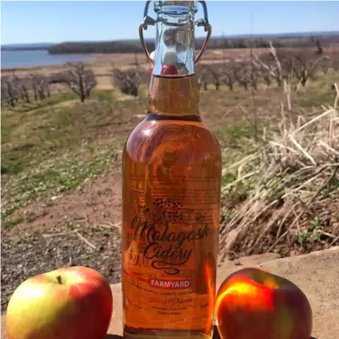 Vista Bella Farm Sour Cherry and Currant cider bottle