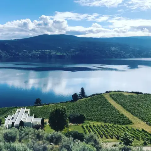 Aerial view of the Vows & Vines vineyard and estate