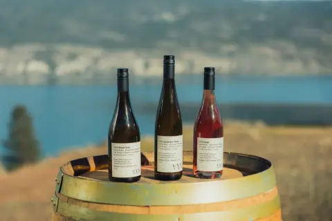 Vows & Vines Vineyard product photo