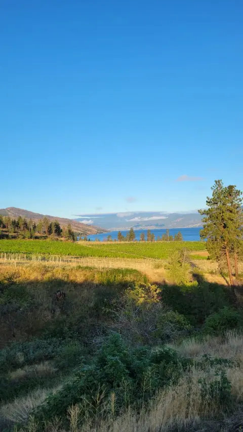 Waldhof Family Estate Winery product photo
