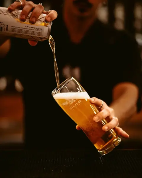 Wildeye Czech Pilsner can