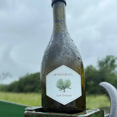 A bottle of Windswept Lost Orchard cider outdoors in the rain by a field