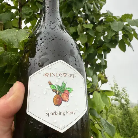 A bottle of Windswept Sparkling Perry made from wild foraged pears